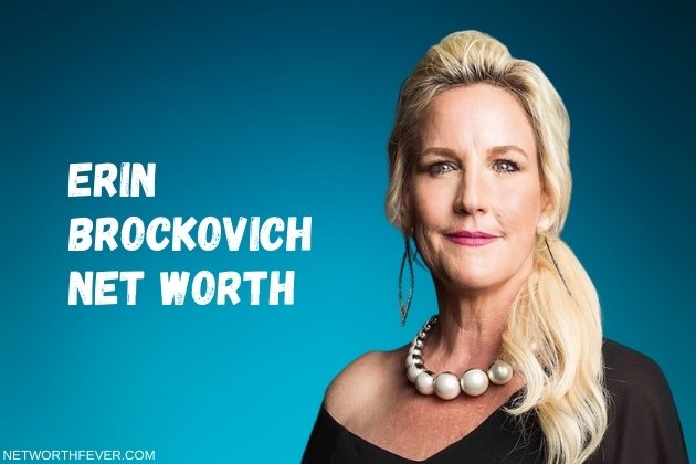 erin brockovich net worth