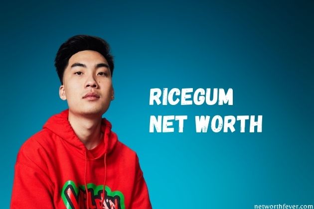 ricegum net worth